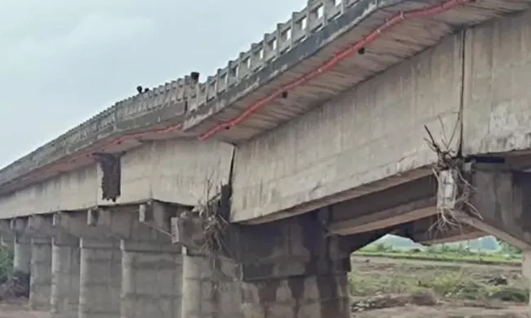 রেল লাইনের ওপর সেতু ধসে ৭ জনের প্রাণহানি, আহত ৩০
